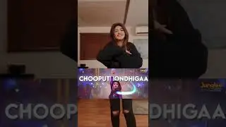 Nee Chuttu Chuttu (Lyrical Video mix ) | Skanda | Ram Pothineni, Sree Leela