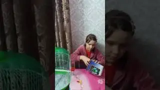 открываем киндер Маша и медведь и поли робокар
