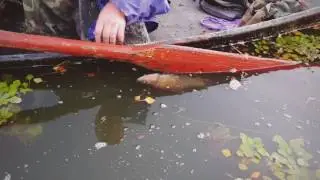 Браконьеры попались!