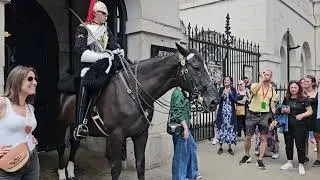 17/08/24 TODAY WE HAVE VERY CALM HORSES