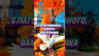 Доброе утро.С покровом Пресвятой Богородицы 