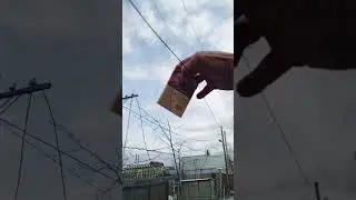 орнитологическиесетипаутинысблокадойответра