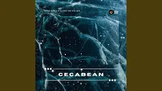 Cecabean