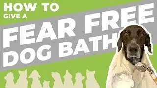 Increase Dog Confidence - FEAR FREE Dog Bath