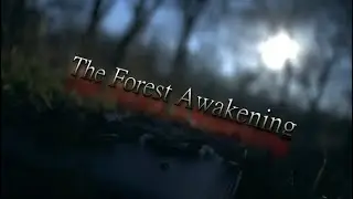 The Forest Awakening - Short Horror Film