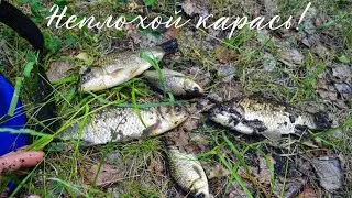 Рыбалка в компании! Рыбалка в июне. Неплохой карась. #рыбалка #подпишись #fishing