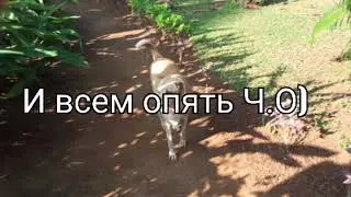 Опять.....Читать Описание)