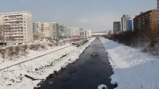 Утки на Абушке