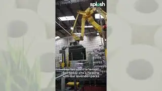 Meet Riley the Splesh robot 🤖