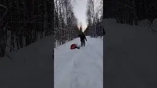 езда по лесу