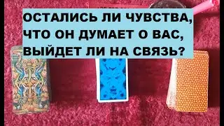 Думает ли он вас, что думает, чувствует, позвонит ли?