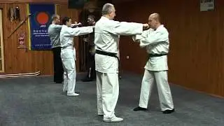 Сил-лим-тао. Санчин-ката. Хейан-Шодан. Бункай. Часть 2