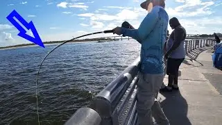 MONSTER Under the Pier!! Non-Stop Action at Sebastian inlet +PB Redfish