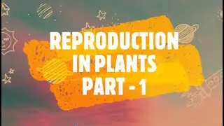 Reproduction in Plants | Part - 1 | Biology