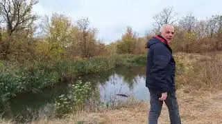 Жовтень кольору майже бордо
