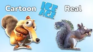 ice age Characters IN REAL LIFE 💥
