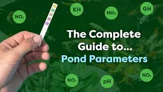 A Complete Guide to Monitoring pH, Nitrates & Other Pond Parameters
