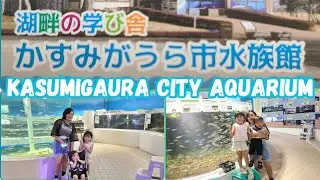 Kasumigaura City Aquarium   -   かすみがうら市水族館