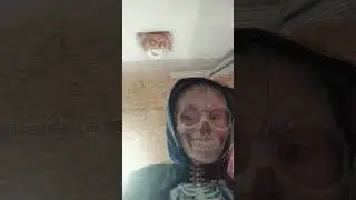17 ноября 2023 г.