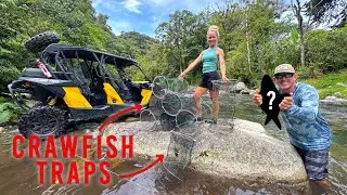 We Set Our Crawfish Traps in a Remote Rainforest (Never Expected What We Caught)