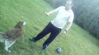 VID 20190701 195148