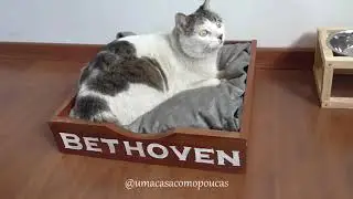 Cama para gato simples - Faça você mesmo