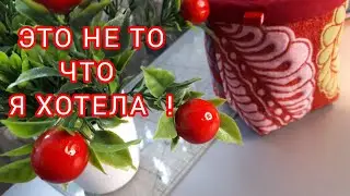 Сшила не то ЧТО ХОТЕЛА! Но получилось Классно!