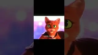 Puss In Boots 2 Edit Wolf And Cat #shorts #cats