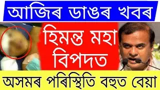 Breaking News // Lampi Carmo Virus Big News // Himanta Biswa Big News Assam//Today News Assam