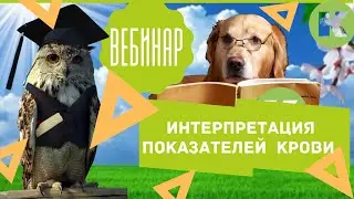 Интерпретация показателей красной и белой крови