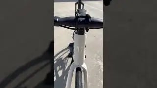 Giant Defy Advanced Pro 1 2024