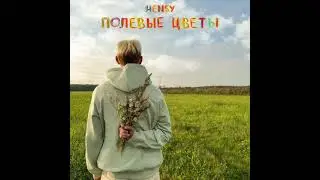 Hensy - полевые цветы