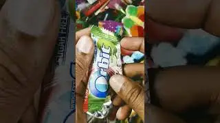 Wrigleys Orbit Raw mango flavour Chewing Gum 