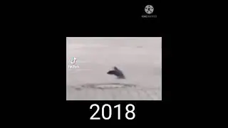 2018-2021))))))