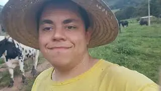 top 4 animais lucrativos pra se ter em sítio em 2023