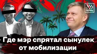 Расследование, как единороссы прячут своих сыновей.