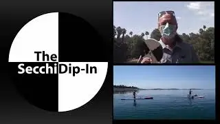 Take a Dip - Celebrate Lakes Appreciation Month