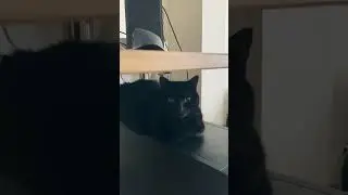 заходишь вот так в комнату…