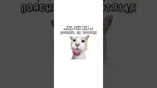 Как работает кредитная карта?