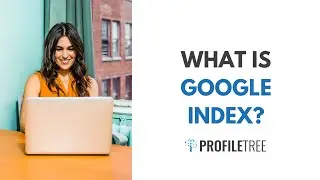 What Is Google Index? Vital Element for Successful Website