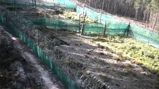 Affen14April2012