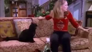 Говорящий кот Сайлем. 2 Салем