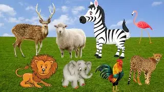 ANIMALS UNIVERSE VIDEOS - ANIMALS PLANET, ANIMALS SOUNDS, ANIMALS WORLD