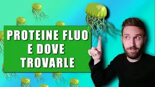 Briciole di... GREEN - Episodio 8: Green Fluorescent Protein