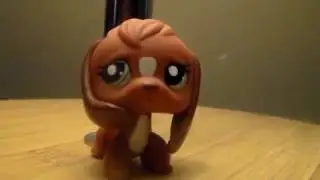 Im so sorry | Please Watch |