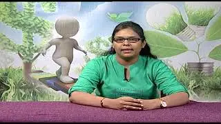 Poverty, Income Distribution and Environment