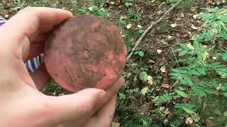 КОП ПО ВОЙНЕ №4-ОДИНОКИЙ БЛИНДАЖ(WW2 Excavation German bunker)