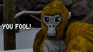 When You Report A Cheater | Gorilla Tag Animated Short