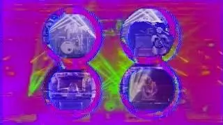 Taipan Tiger Girls - ‘Live At The Melbourne Town Hall’