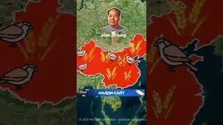 Страны, принимающие глупые решения....(часть 3)🇨🇳😳